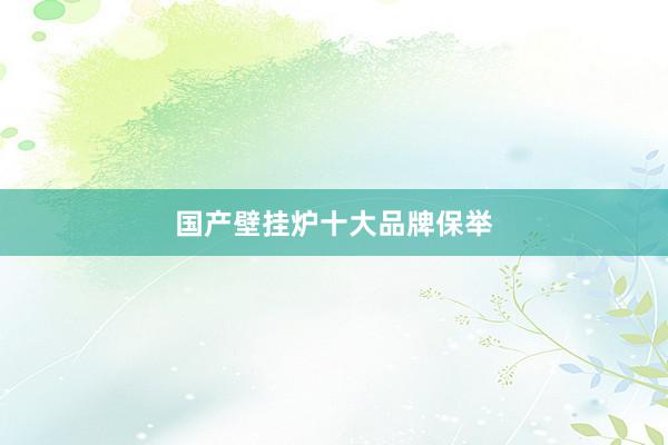 国产壁挂炉十大品牌保举