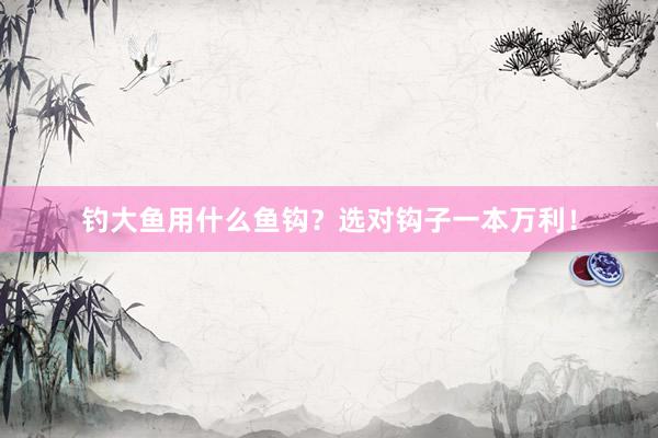 钓大鱼用什么鱼钩？选对钩子一本万利！
