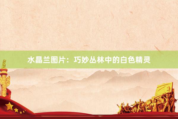 水晶兰图片：巧妙丛林中的白色精灵