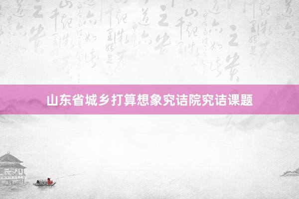 山东省城乡打算想象究诘院究诘课题