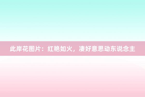 此岸花图片:红艳如火,凄好意思动东说念主